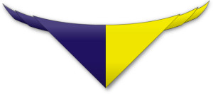 44th Norwich Scarf