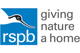 RSPB Big Garden Birdwatch 2020